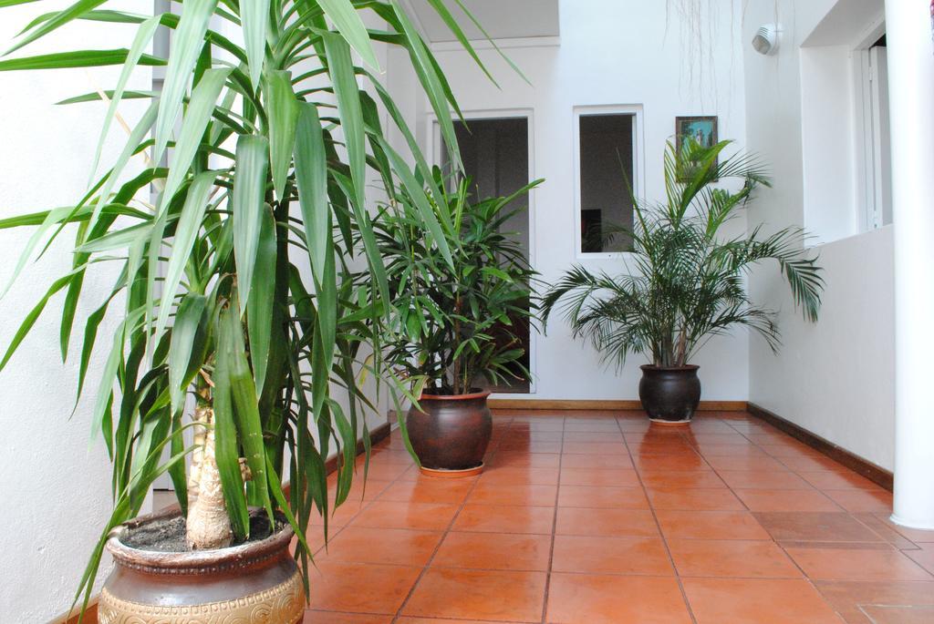 קולוניה דל סקרמנטו Hotel Romi מראה חיצוני תמונה